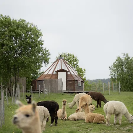 롯지 Lavvo Med Glasstak Svenseid