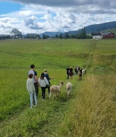 롯지 Lavvo Med Glasstak *